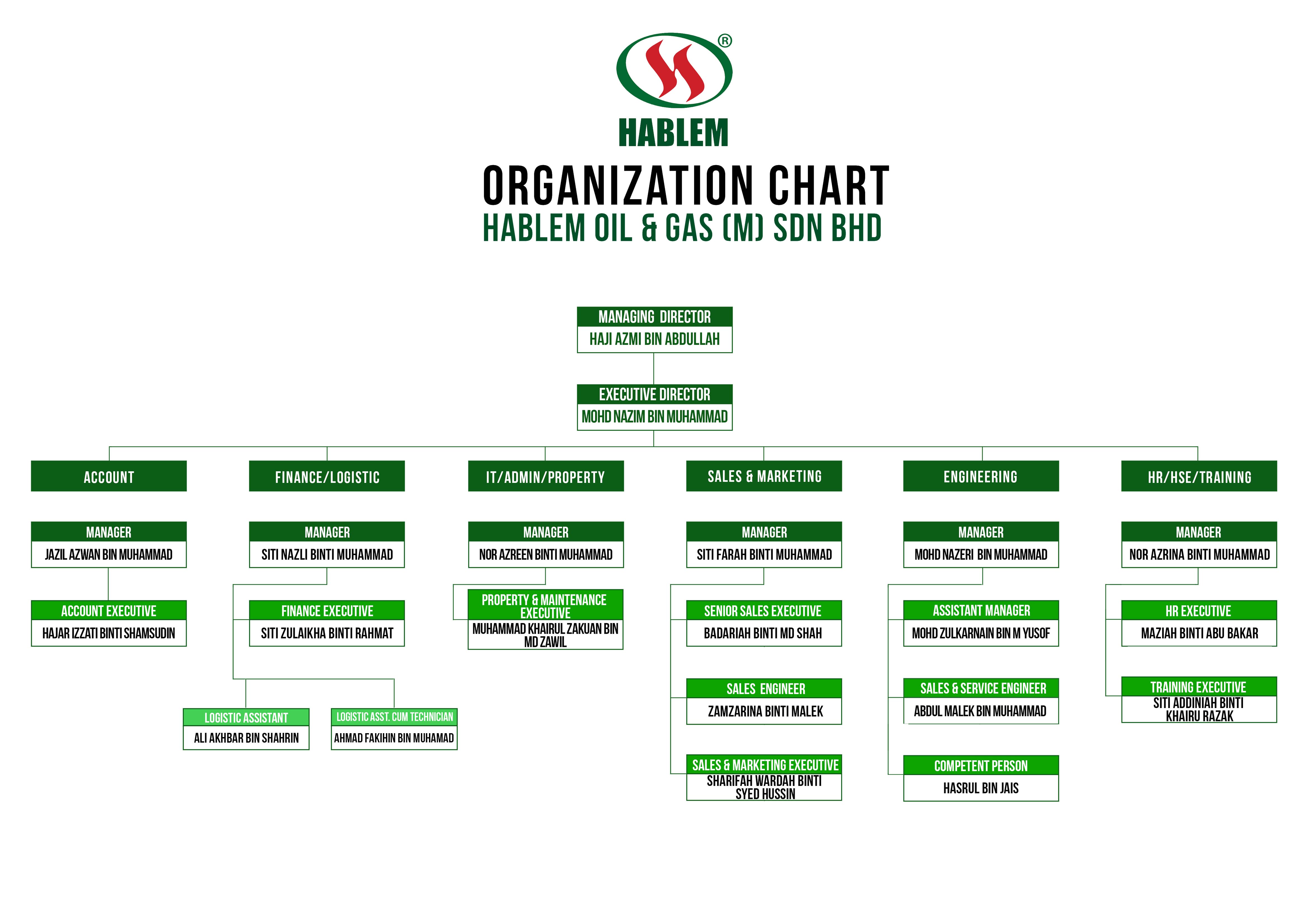 Organization Chart Hablem